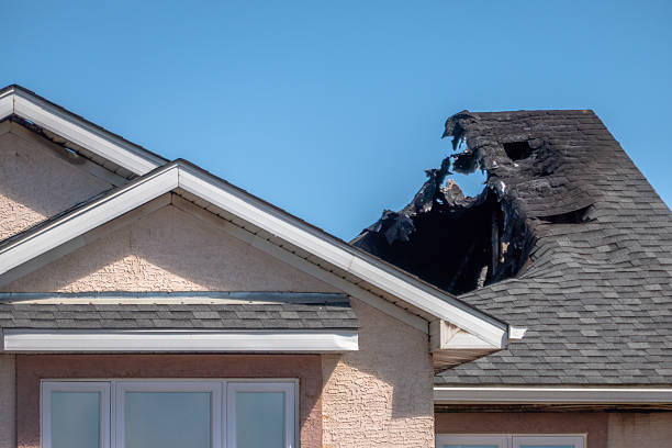 Top rated local Fire Damage Repair specialists in Falls Church, VA
